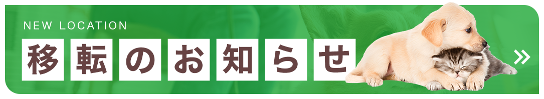 移転のお知らせ